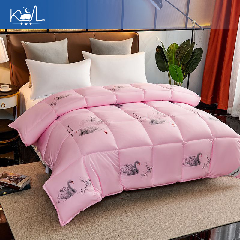 95% White Goose Down Comforter - Duvet Insert White review and price