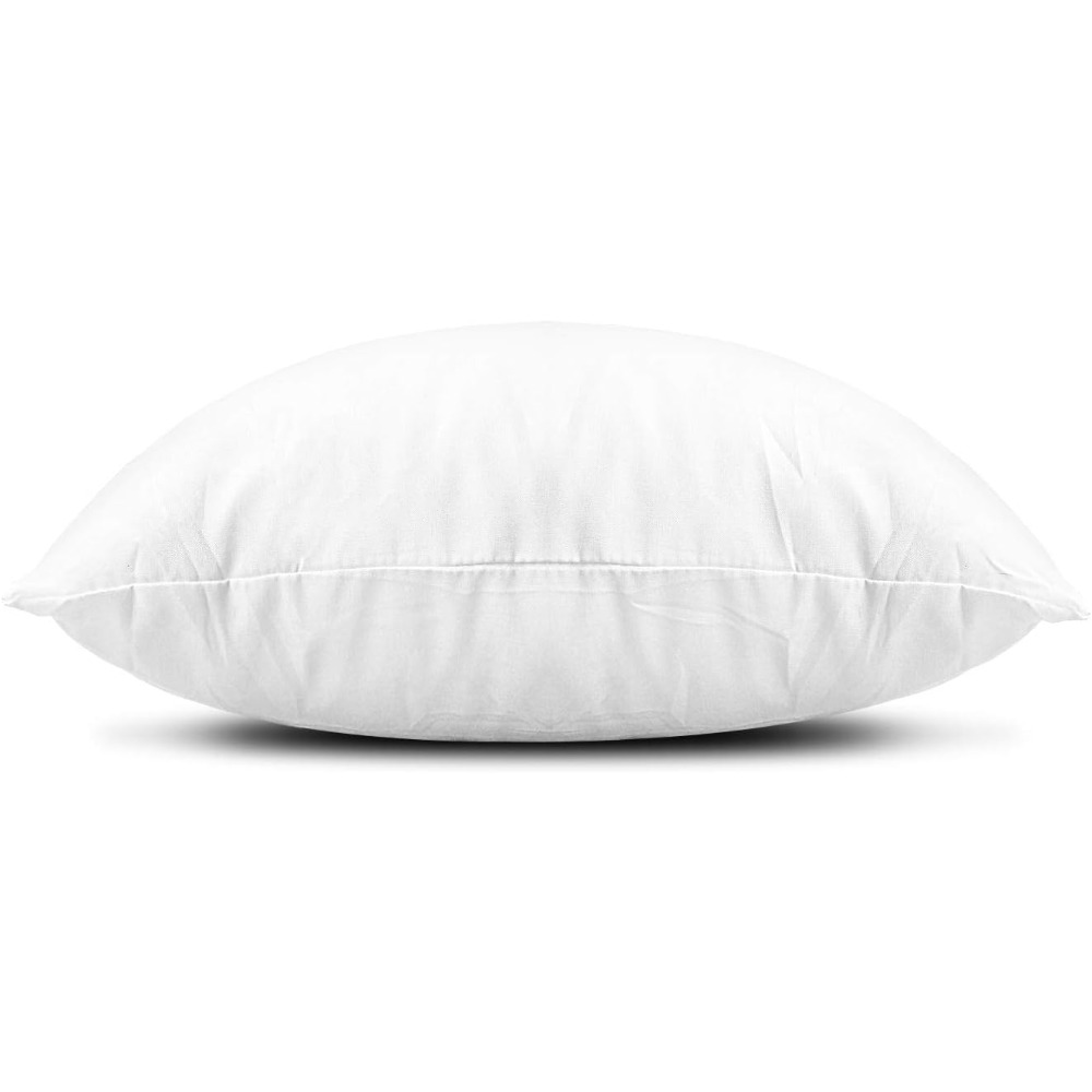 Soft Lightweight Polyester Dow - Pillow Insert 18X18 review and price