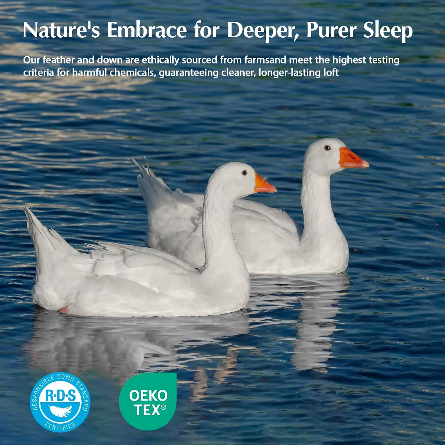 Goose Feather Down Fiber Comfo - Duvet Insert White review and price