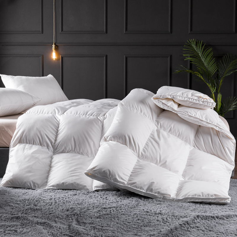 Luxury Bedding Comforter Duvet - Duvet Insert White review and price