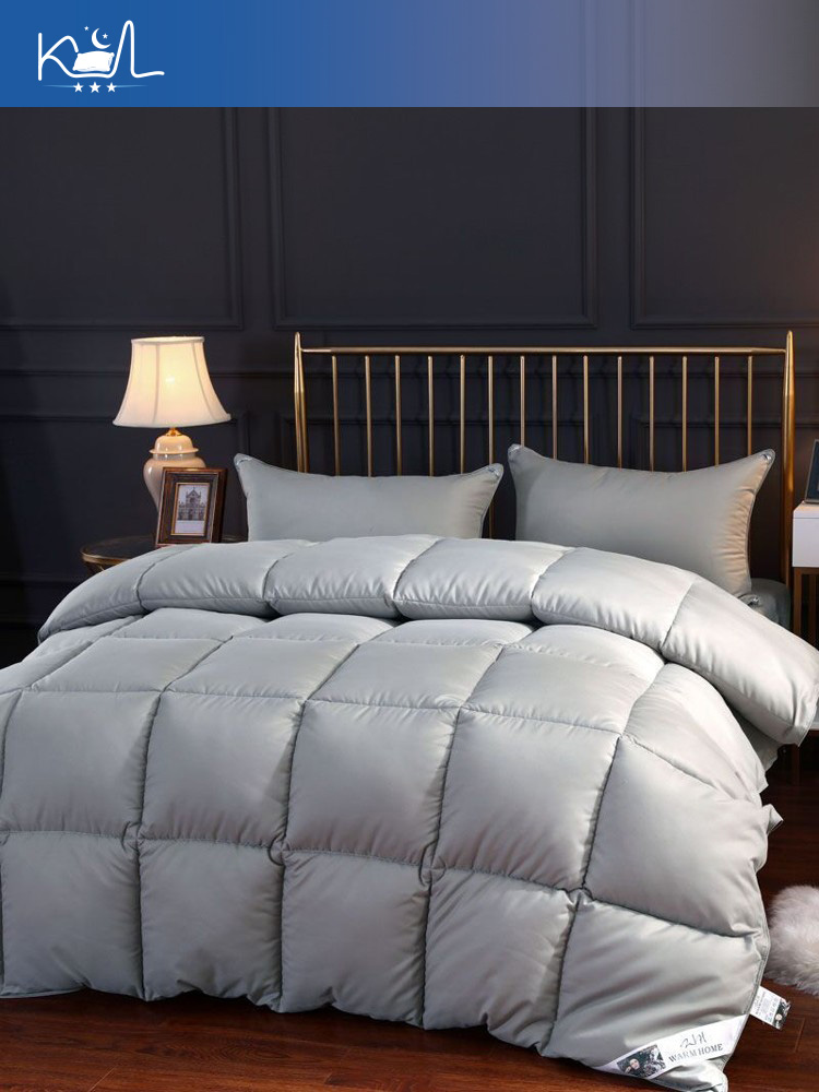 95% White Goose Down Duvet Ins - Duvet Insert White review and price