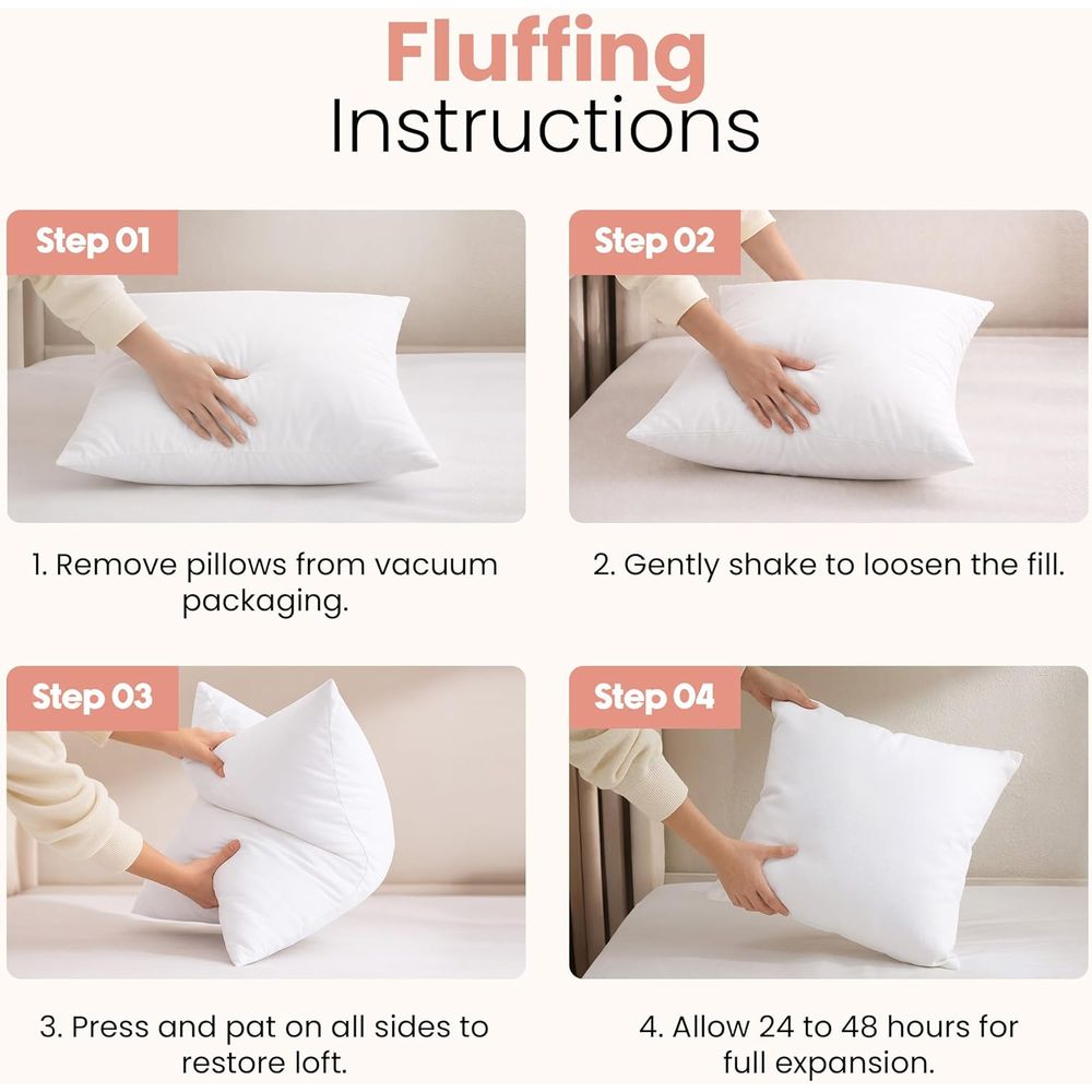 Pair of 18x18 White Pillow Ins - Pillow Insert 18X18 review and price