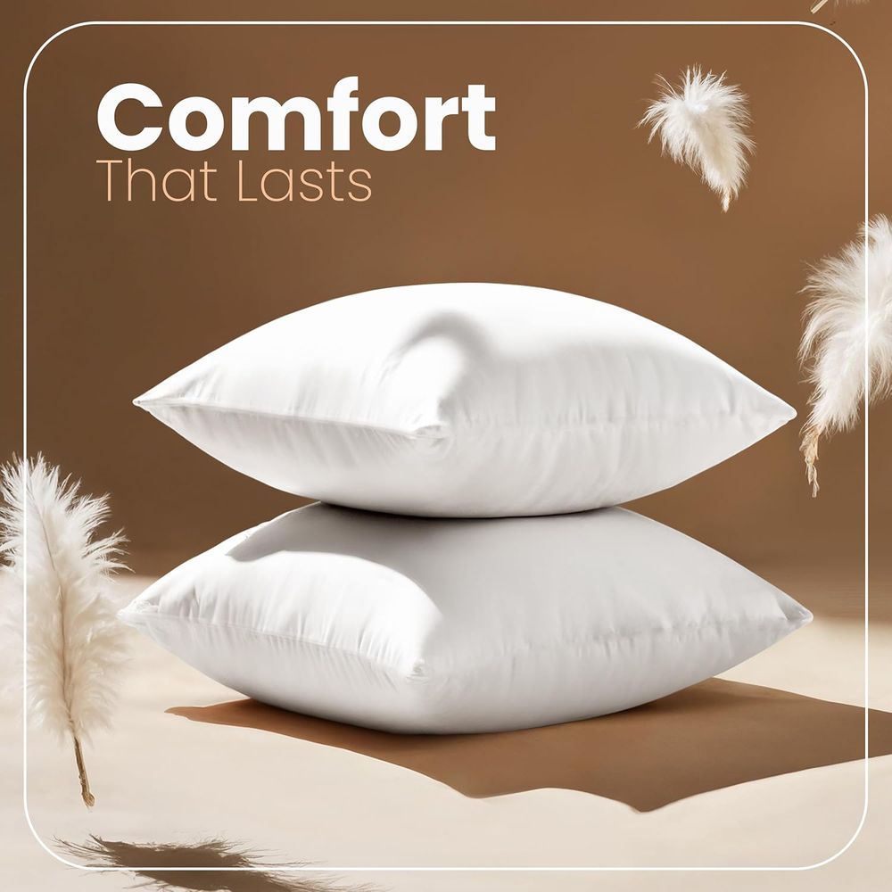 Pair of 18x18 White Pillow Ins - Pillow Insert 18X18 review and price